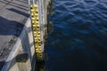 Flood measuring rod at the quay pier attached to the ladder into the dark water in the Baltic Sea, copy space