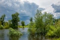 Flood. Natural disaster - the flooding of the land with water, w Royalty Free Stock Photo