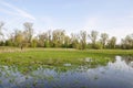 Flood plain with trees