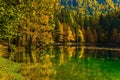 Flood after rain on Lago de Fusine Royalty Free Stock Photo