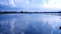 Flood Rice Fields in Thailand has nice cloud and blue sky reflec Royalty Free Stock Photo