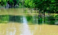 Flood on the river Danube Royalty Free Stock Photo