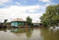 Flood. The river Ob, which emerged from the shores, flooded the outskirts of the city. Livestock escapes on the hill. Royalty Free Stock Photo