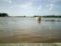 During flood In t.narasipura