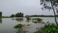 Flood time in village field, flood image,village flood.