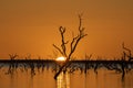 Flood waters from the Darling river