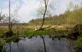 Flooded abandoned meadows in springtime