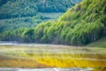 Ecological disaster: cyanide pollution at Geamana Lake near Rosia Montana, Romania