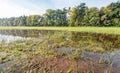 Flooded area from close