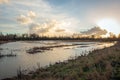 Flooded area in Dutch National Park Biesbosch Royalty Free Stock Photo