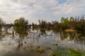 Flooded area near the Dnieper River in spring Royalty Free Stock Photo