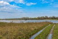 Flooded area near the Dnieper River in spring Royalty Free Stock Photo