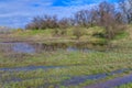 Flooded area near the Dnieper River in spring Royalty Free Stock Photo