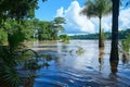 A flooded area with palm trees submerged in water, showcasing the extent of the flooding, A river in the Amazon rainforest in full Royalty Free Stock Photo