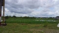 Flooded area during the rainy season along the Amazon River in the Amazonia Rain Forest South America Royalty Free Stock Photo