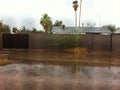 Flooded Backyard after Monsoon in Mesa, Arizona