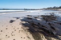 flooded beach after oil spill with dead fish and seaweed strewn across the sand Royalty Free Stock Photo