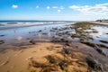 flooded beach after oil spill with dead fish and seaweed strewn across the sand Royalty Free Stock Photo