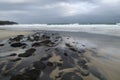 flooded beach after oil spill with dead fish and seaweed strewn across the sand Royalty Free Stock Photo