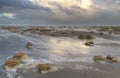 Flooded beach with Sand couch grass Royalty Free Stock Photo