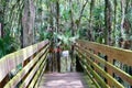 A flooded boardwalk in Lettuce Lake Park,