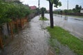 Big water floods after massive storm rain. The garden and the plants are covered with dirty water. Many damages after the heavy