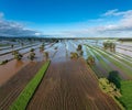 Flooded cultivated fields after torrential rains in September 2024 in Lombardy