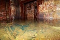 Flooded disguised secret military bunker. Abandoned bomb shelter