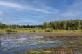 Flooded Dutch polder area next to a dike overgrown with grass.bare, blue, branches, climate, change, clouds, countryside, day, Royalty Free Stock Photo