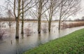 Flooded Dutch polder Royalty Free Stock Photo