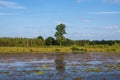 Flooded Dutch polder area next to a dike overgrown with grass Royalty Free Stock Photo