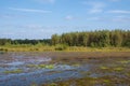 Flooded Dutch polder area next to a dike overgrown with grass Royalty Free Stock Photo