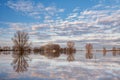 Flooded farm field in front of the Dutch river IJssel