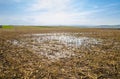 Flooded farm field