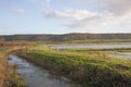 Flooded Farm fields Somerset England