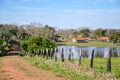 Flooded farm, Mato Grosso do Sul (Brazil) Royalty Free Stock Photo