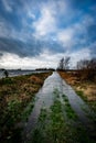 Flooded fenland access track