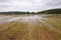 Flooded field