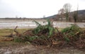 Flooded Field with Debris Trees Royalty Free Stock Photo