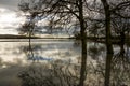 Flooded fields with reflexions near Tewkesbury Royalty Free Stock Photo