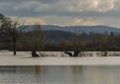 Flooded fields with reflexions near Tewkesbury Royalty Free Stock Photo