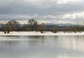 Flooded fields with reflexions near Tewkesbury Royalty Free Stock Photo