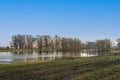 Flooded floodplains of the Dutch river Waal Royalty Free Stock Photo