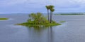 Flooded forest in the Amazon, Brazil Royalty Free Stock Photo