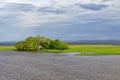 Flooded forest in the Amazon, Brazil Royalty Free Stock Photo