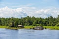 Flooded forest on the Amazon River, Brazil Royalty Free Stock Photo