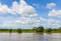 Flooded forest on the Amazon River, Brazil Royalty Free Stock Photo