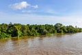 Flooded forest on the Amazon River, Brazil Royalty Free Stock Photo