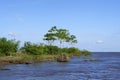 Itapicuru laguna, Para state, Brazil