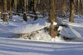 In a flooded forest in winter, ice floes have remained after the water has subsided Royalty Free Stock Photo